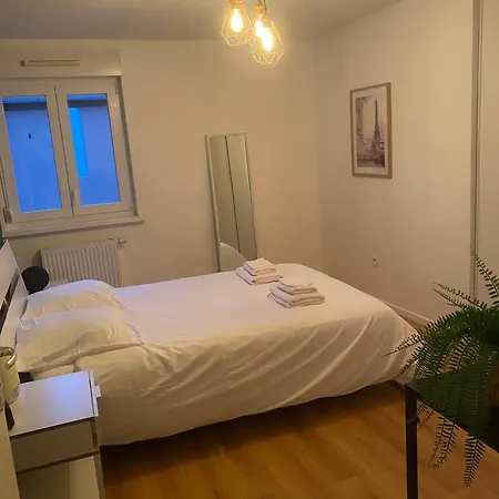 Grand 2 Pieces Eurometropole De Strasbourg Proche Europa Park Avec Terrasse Daire