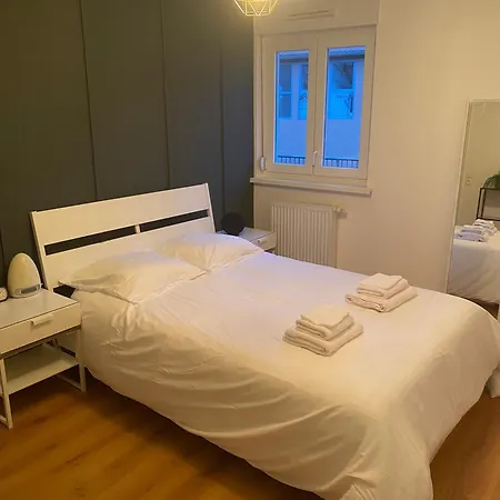 Grand 2 Pieces Eurometropole De Strasbourg Proche Europa Park Avec Terrasse * Plobsheim