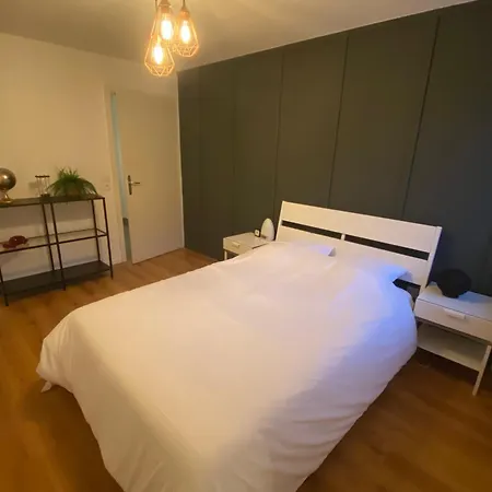 Daire Grand 2 Pieces Eurometropole De Strasbourg Proche Europa Park Avec Terrasse *