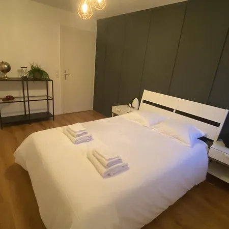 Grand 2 Pieces Eurometropole De Strasbourg Proche Europa Park Avec Terrasse