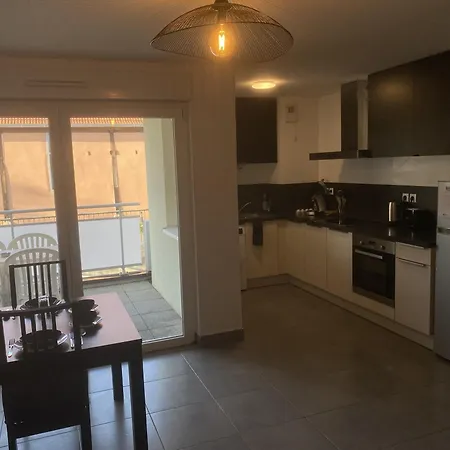 Daire Grand 2 Pieces Eurometropole De Strasbourg Proche Europa Park Avec Terrasse *