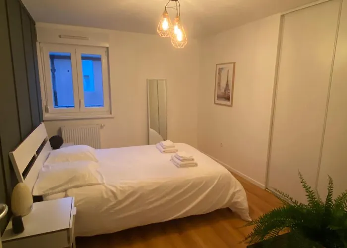 Grand 2 Pieces Eurometropole De Strasbourg Proche Europa Park Avec Terrasse