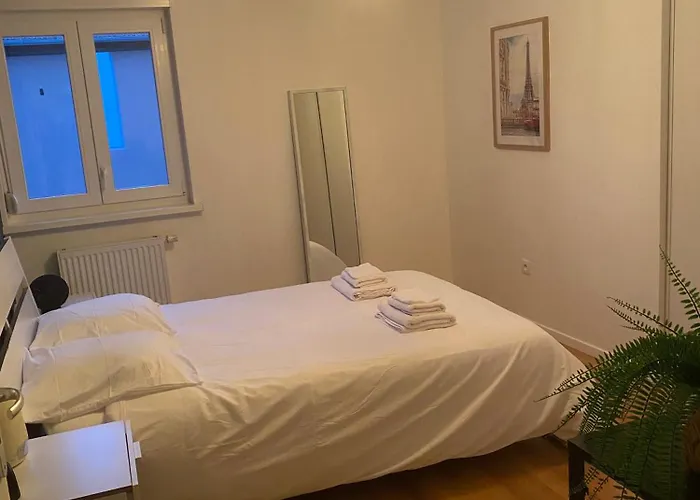 Grand 2 Pieces Eurometropole De Strasbourg Proche Europa Park Avec Terrasse Apartment