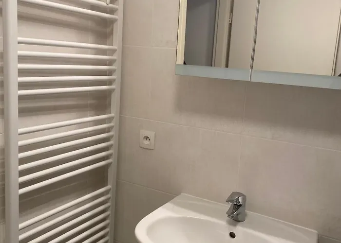 Grand 2 Pieces Eurometropole De Strasbourg Proche Europa Park Avec Terrasse Apartment