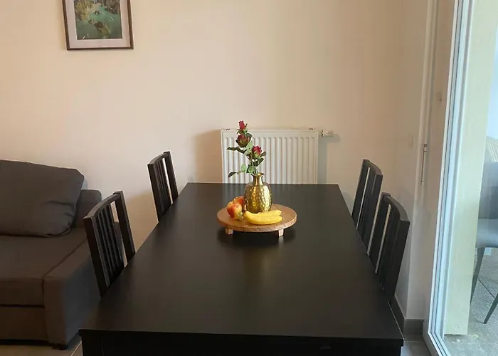 Apartment Grand 2 Pieces Eurometropole De Strasbourg Proche Europa Park Avec Terrasse Plobsheim