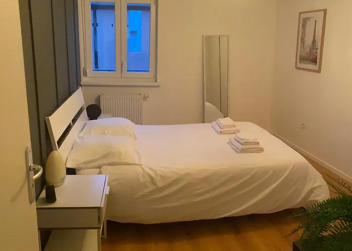 Grand 2 Pieces Eurometropole De Strasbourg Proche Europa Park Avec Terrasse Plobsheim