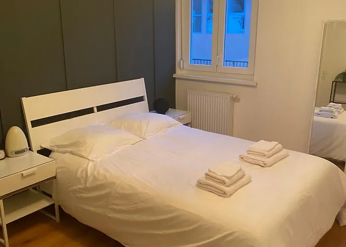 Grand 2 Pieces Eurometropole De Strasbourg Proche Europa Park Avec Terrasse * Plobsheim