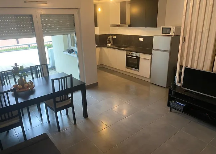 Grand 2 Pieces Eurometropole De Strasbourg Proche Europa Park Avec Terrasse Apartment