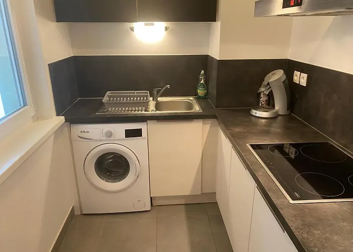 Grand 2 Pieces Eurometropole De Strasbourg Proche Europa Park Avec Terrasse Apartment *