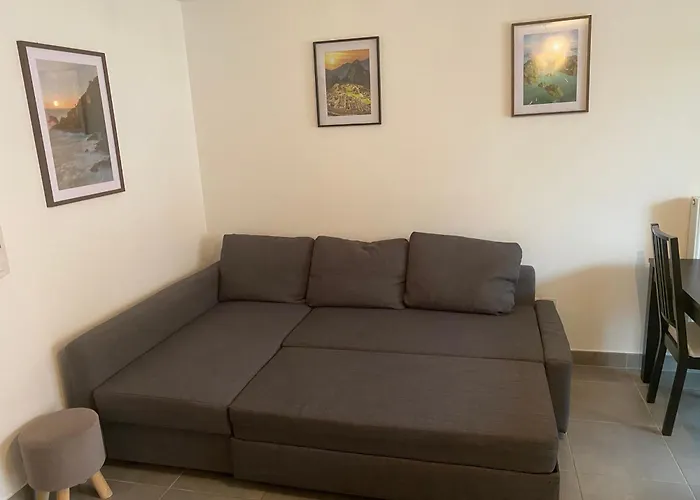 Apartment Grand 2 Pieces Eurometropole De Strasbourg Proche Europa Park Avec Terrasse *