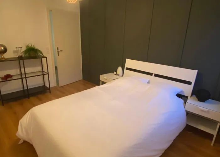 Apartment Grand 2 Pieces Eurometropole De Strasbourg Proche Europa Park Avec Terrasse *