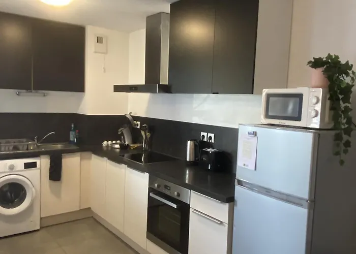 Grand 2 Pieces Eurometropole De Strasbourg Proche Europa Park Avec Terrasse